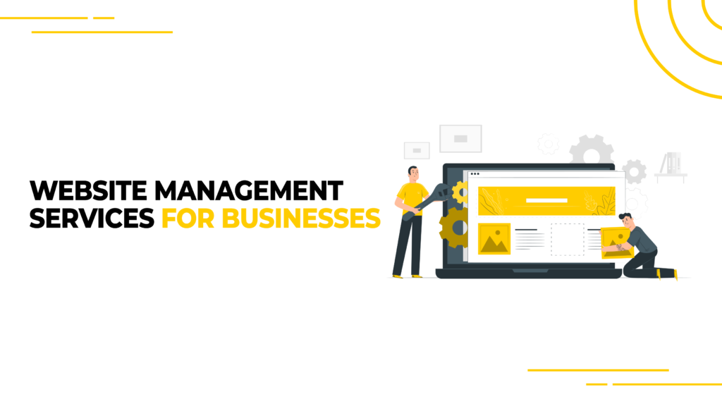 Website Management Services For Businesses